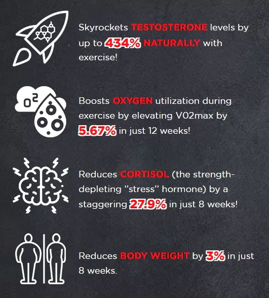 testosil benefits